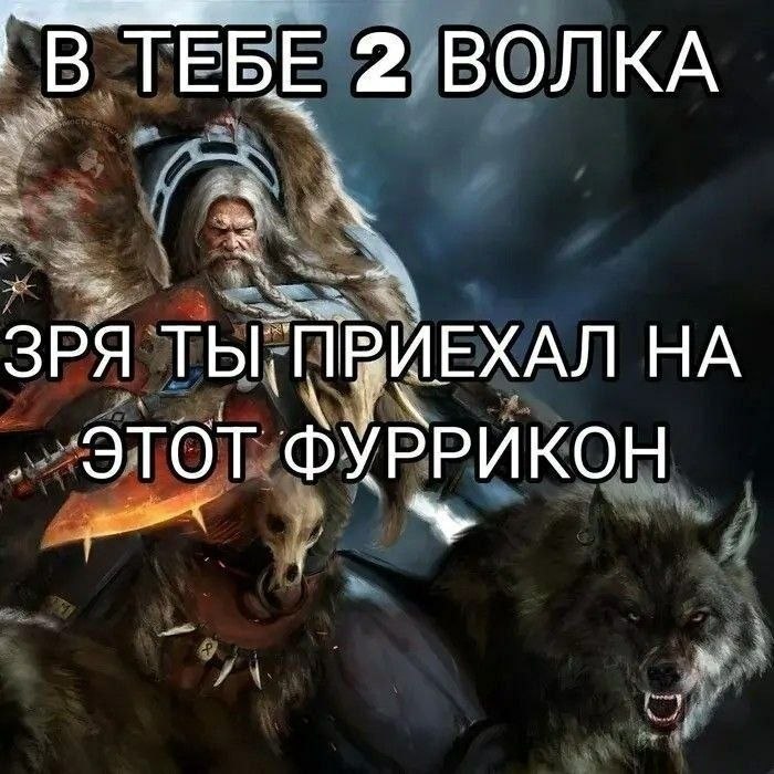 Суровый воин с волками и подписью: «В тебе 2 волка. Зря ты приехал на этот фуррикон»