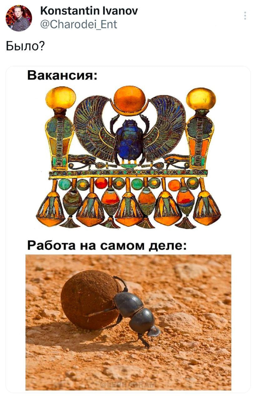 Вакансия и работа на самом деле Мем про разницу между описанием вакансии и реальной работой