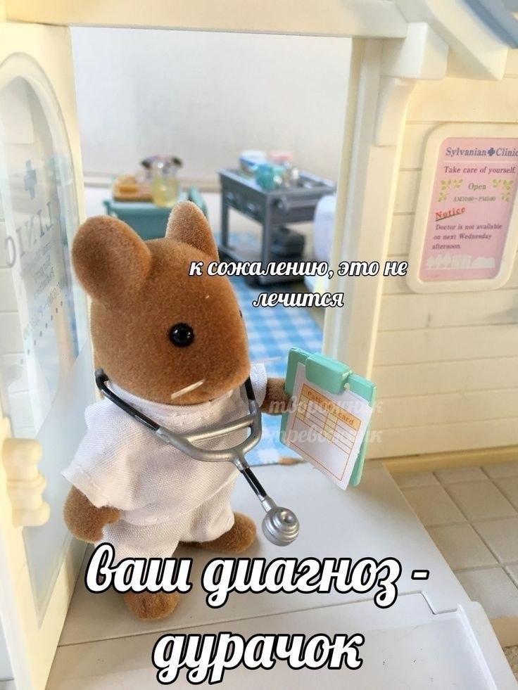 Игрушечный доктор из Sylvanian Families с серьёзным видом ставит пациенту диагноз: «Дурачок».