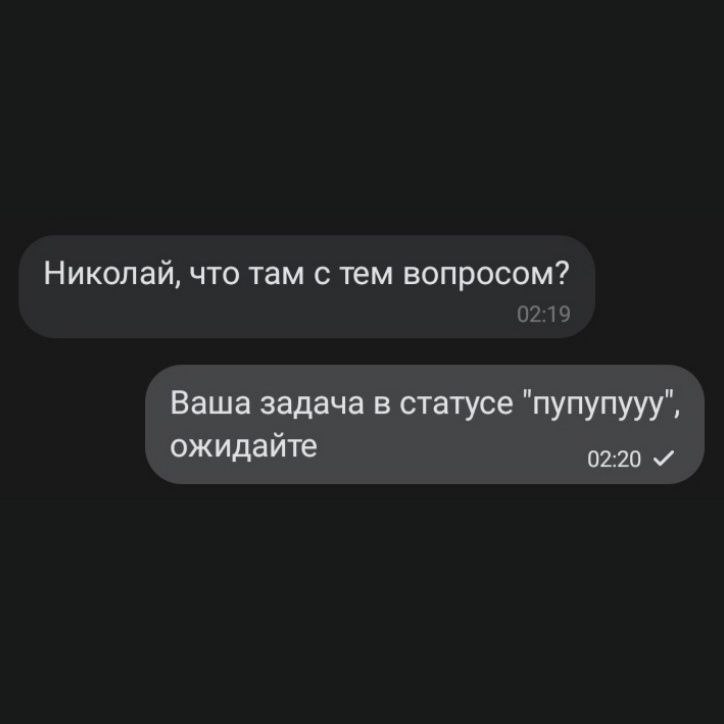 Ваша задача в статусе "пупупууу", ожидайте Скриншот переписки, где Николаю отвечают, что его задача в статусе "пупупууу", ожидайте