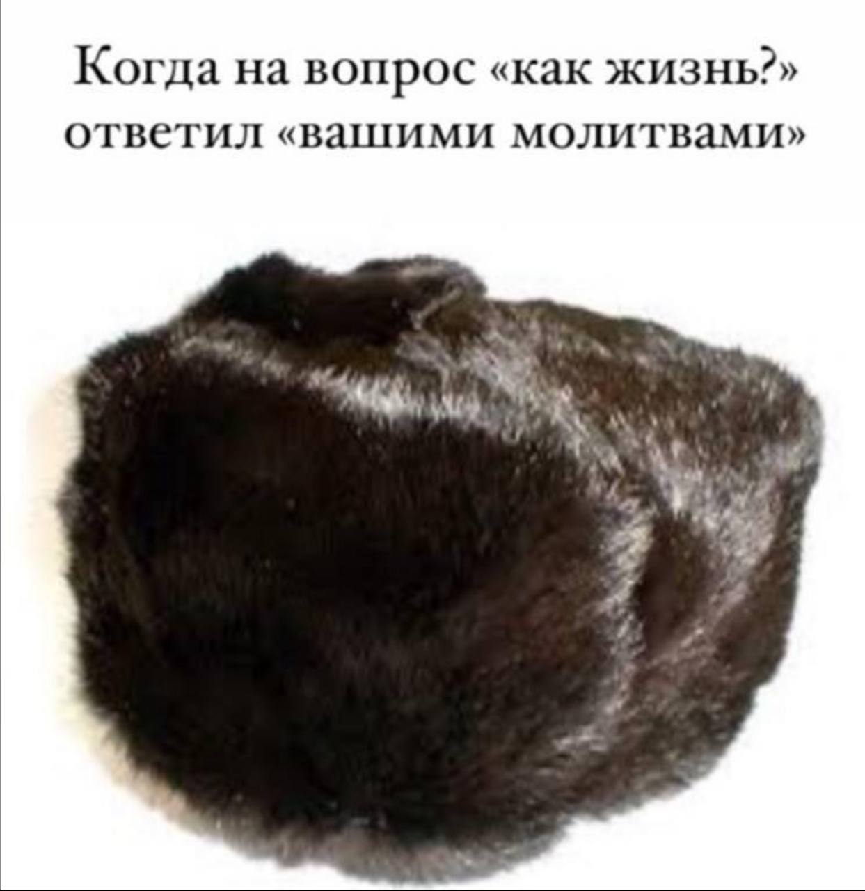Вашими молитвами Мем с тёмным меховым воротником или шапкой и надписью «Когда на вопрос «как жизнь?» ответил «вашими молитвами»