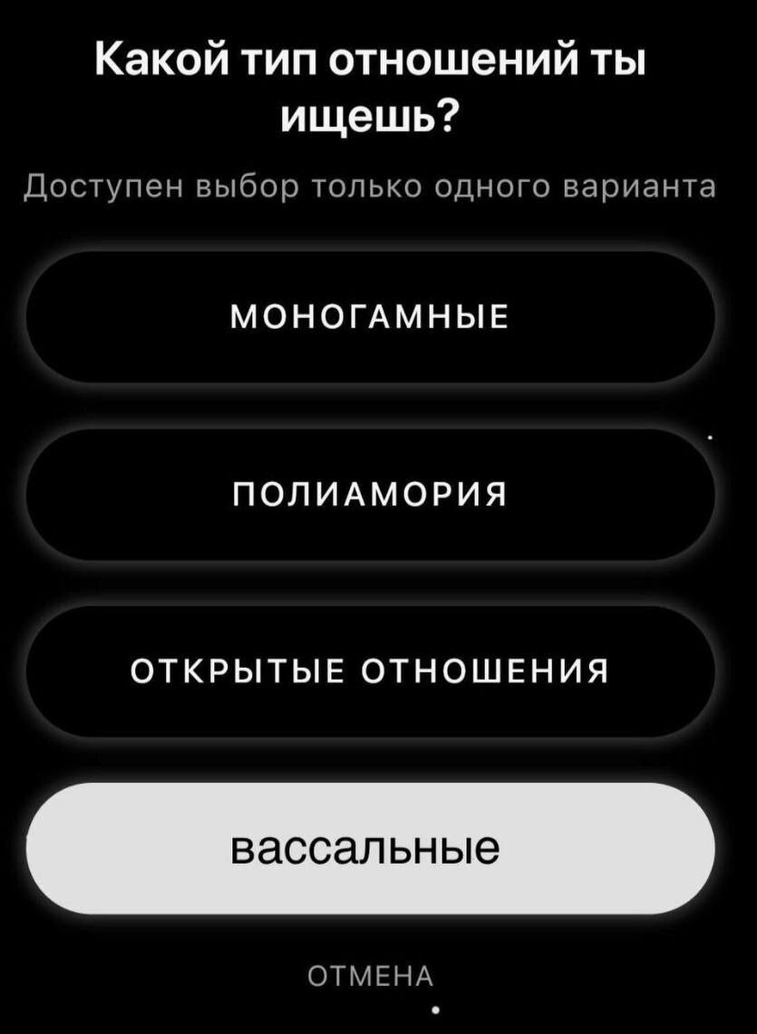 Вассальные отношения Какой тип отношений ты ищешь? Вассальные