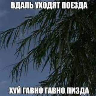 Вдаль уходят поезда Вдаль уходят поезда, хуй гавно гавно пизда