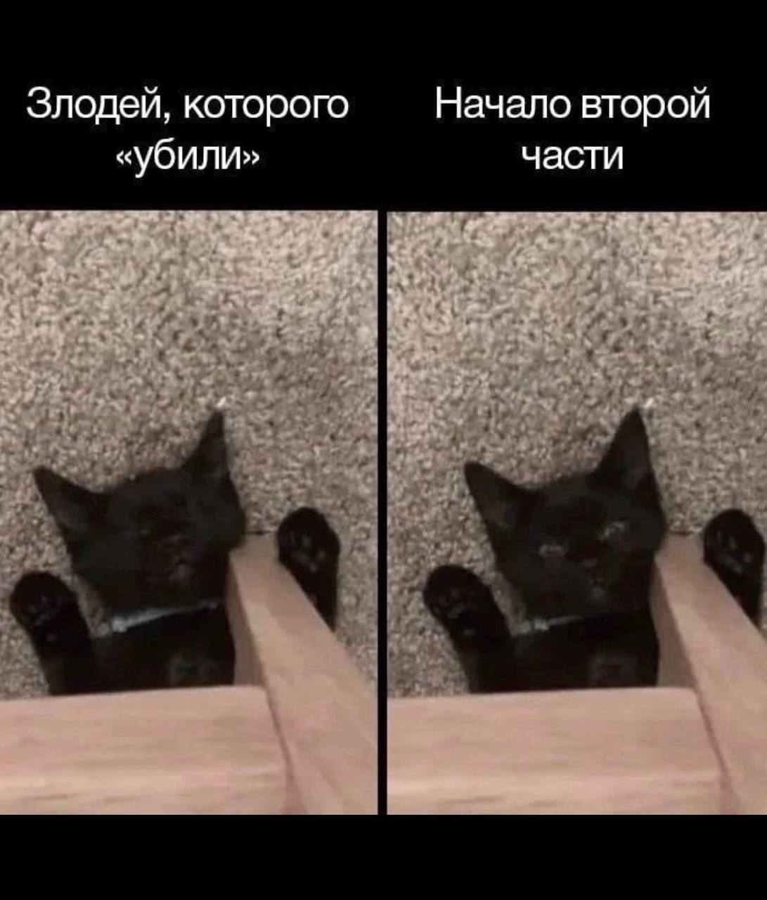 Злодей, которого "убили" Мем про злодея, которого "убили", и начало второй части с чёрным котёнком.