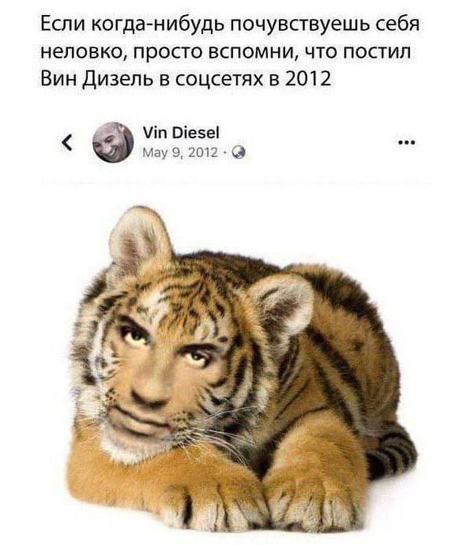 Вин Дизель и тигр Мем с Вином Дизелем и лицом тигра, который он опубликовал в 2012 году.