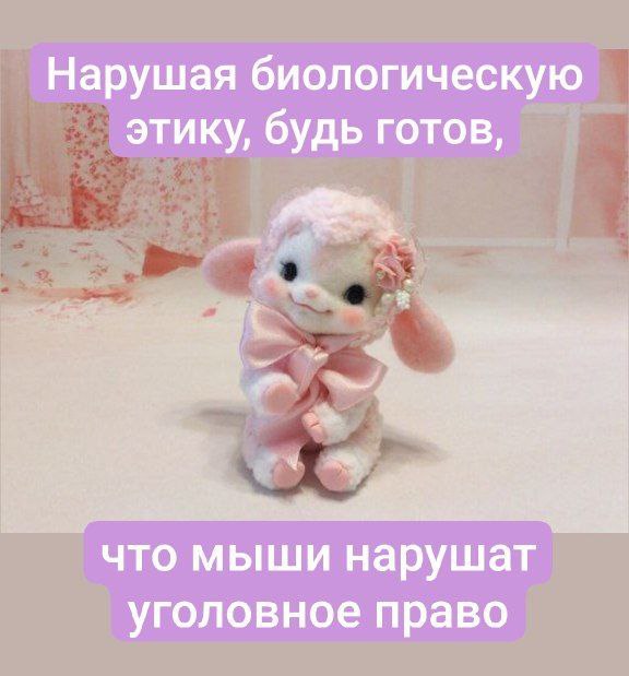 Нарушая биологическую этику, будь готов Нарушая биологическую этику, будь готов, что мыши нарушат уголовное право
