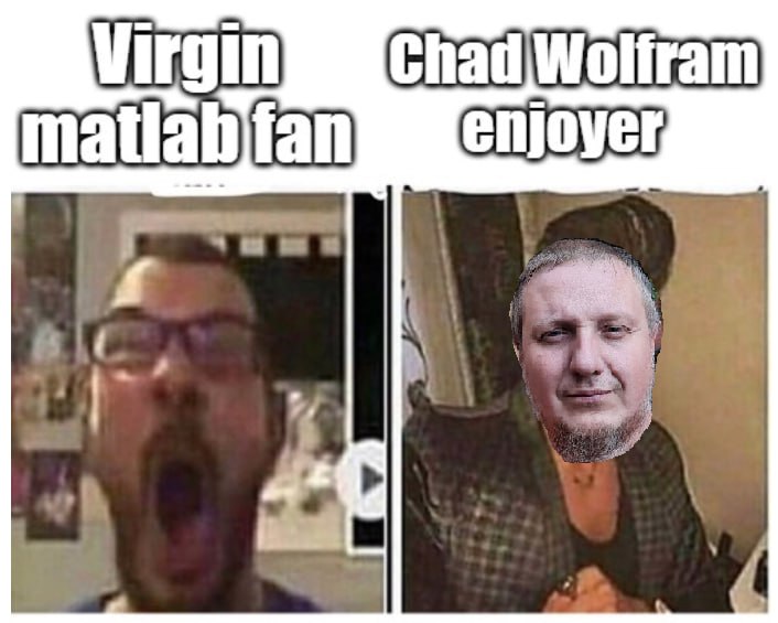 Virgin matlab fan vs Chad Wolfram enjoyer Мем Virgin matlab fan vs Chad Wolfram enjoyer