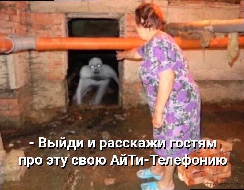 Выйди и расскажи гостям про эту свою АйТи-Телефонию Мем с монстром, вылезающим из подполья, которого заставляет выйти женщина в фиолетовом платье