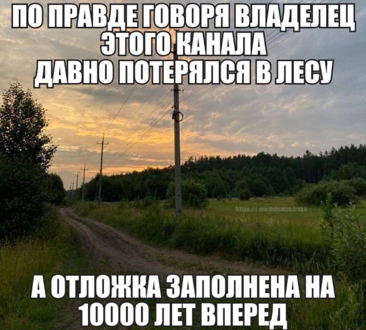 Владелец канала потерялся в лесу Мем про то, как владелец канала потерялся в лесу, а контент все равно выходит