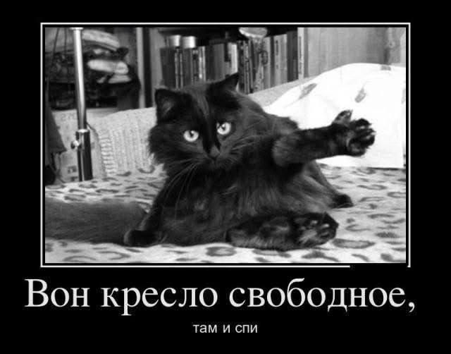 Вон кресло свободное, там и спи Мем с черным котом, указывающим лапой и говорящим: "Вон кресло свободное, там и спи"