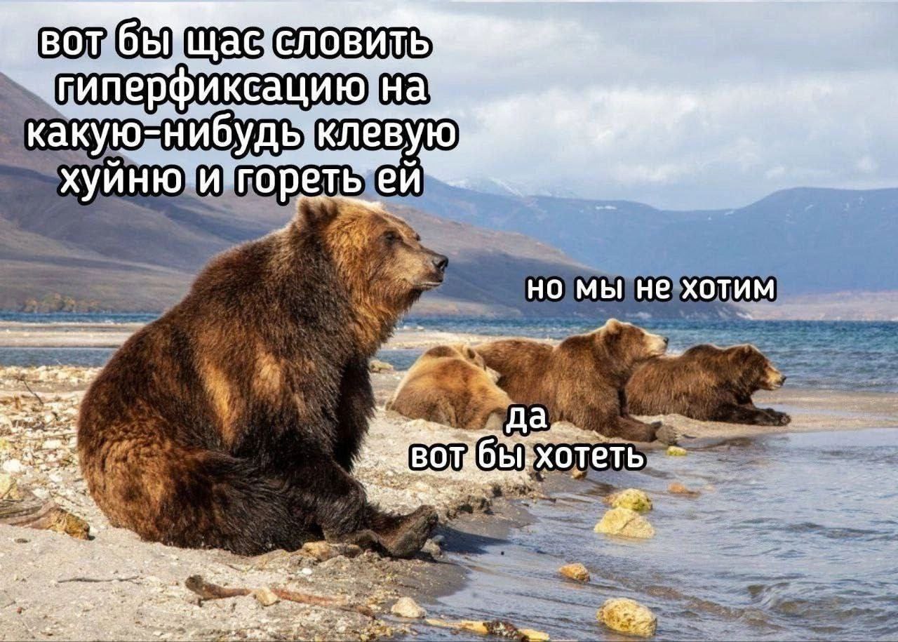 Вот бы щас словить гиперфиксацию на какую-нибудь клевую хуйню и гореть ей На картинке изображены медведи на берегу водоема на фоне гор. Один медведь сидит, а другие лежат у воды. На изображении есть надписи, выражающие желание испытать гиперфиксацию, но затем противоречащие этому желанию.