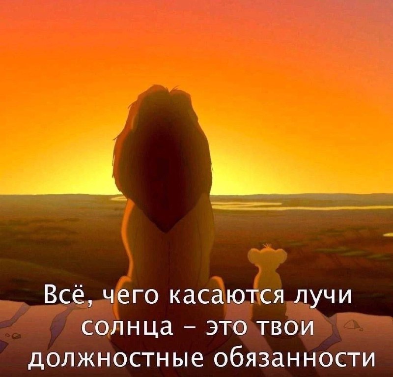 Всё, чего касаются лучи солнца - это твои должностные обязанности Мем с Муфасой и Симбой из мультфильма "Король Лев", где Муфаса объясняет Симбе, что все, чего касаются лучи солнца, - это его должностные обязанности, что является шуточным перефразированием оригинальной фразы.
