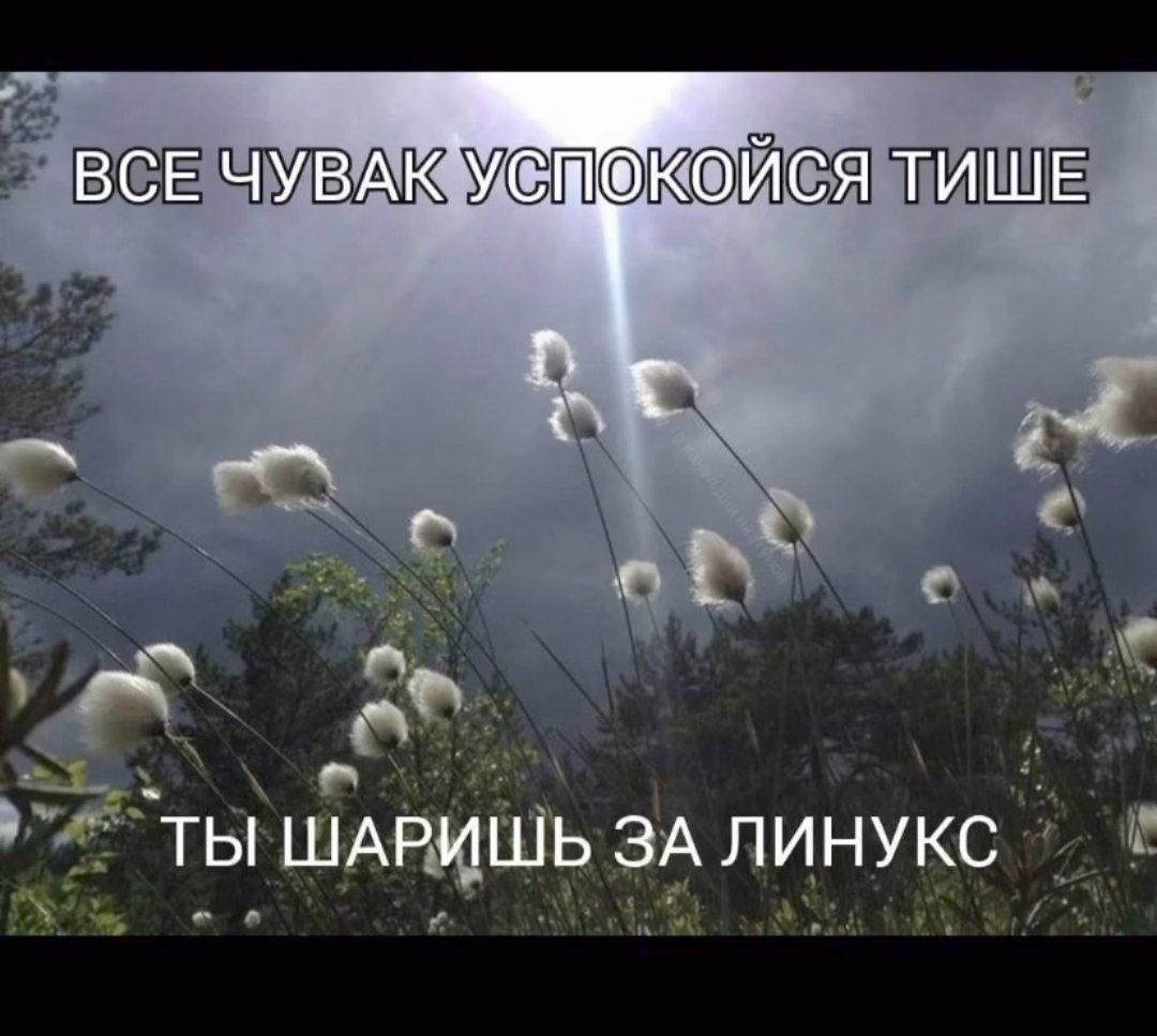 Все чувак успокойся тише ты шаришь за линукс Все чувак успокойся тише, ты шаришь за Линукс