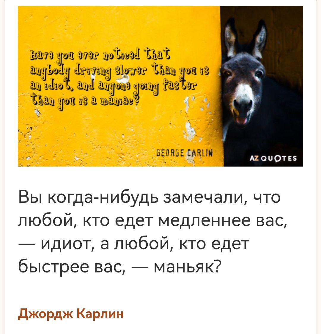 Все кто едет медленнее — идиоты, а кто быстрее — маньяки Мем с цитатой Джорджа Карлина об идиотах и маньяках на дороге и изображением осла