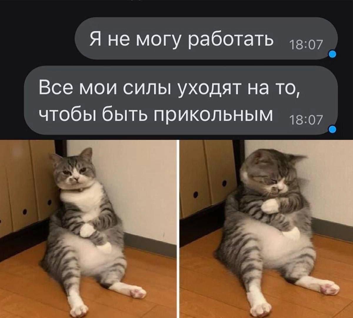 Все мои силы уходят на то, чтобы быть прикольным Мем с котом, который не может работать, потому что все его силы уходят на то, чтобы быть прикольным