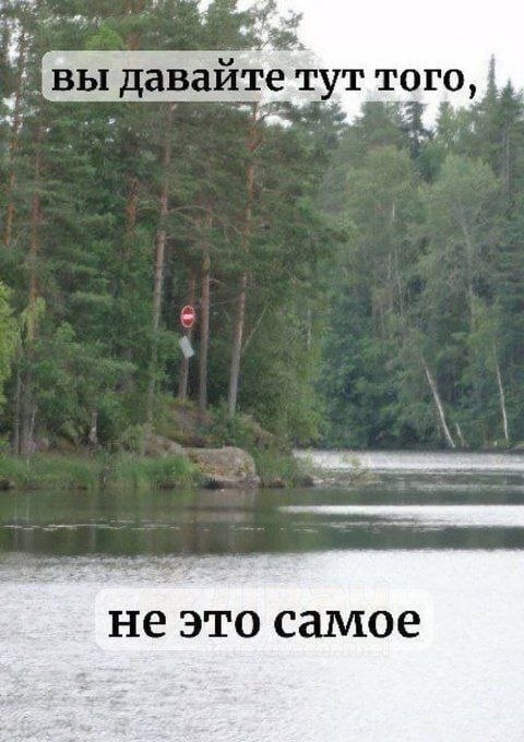 Спокойный лесной пейзаж с шуточной надписью: «Вы давайте тут того, не это самое»