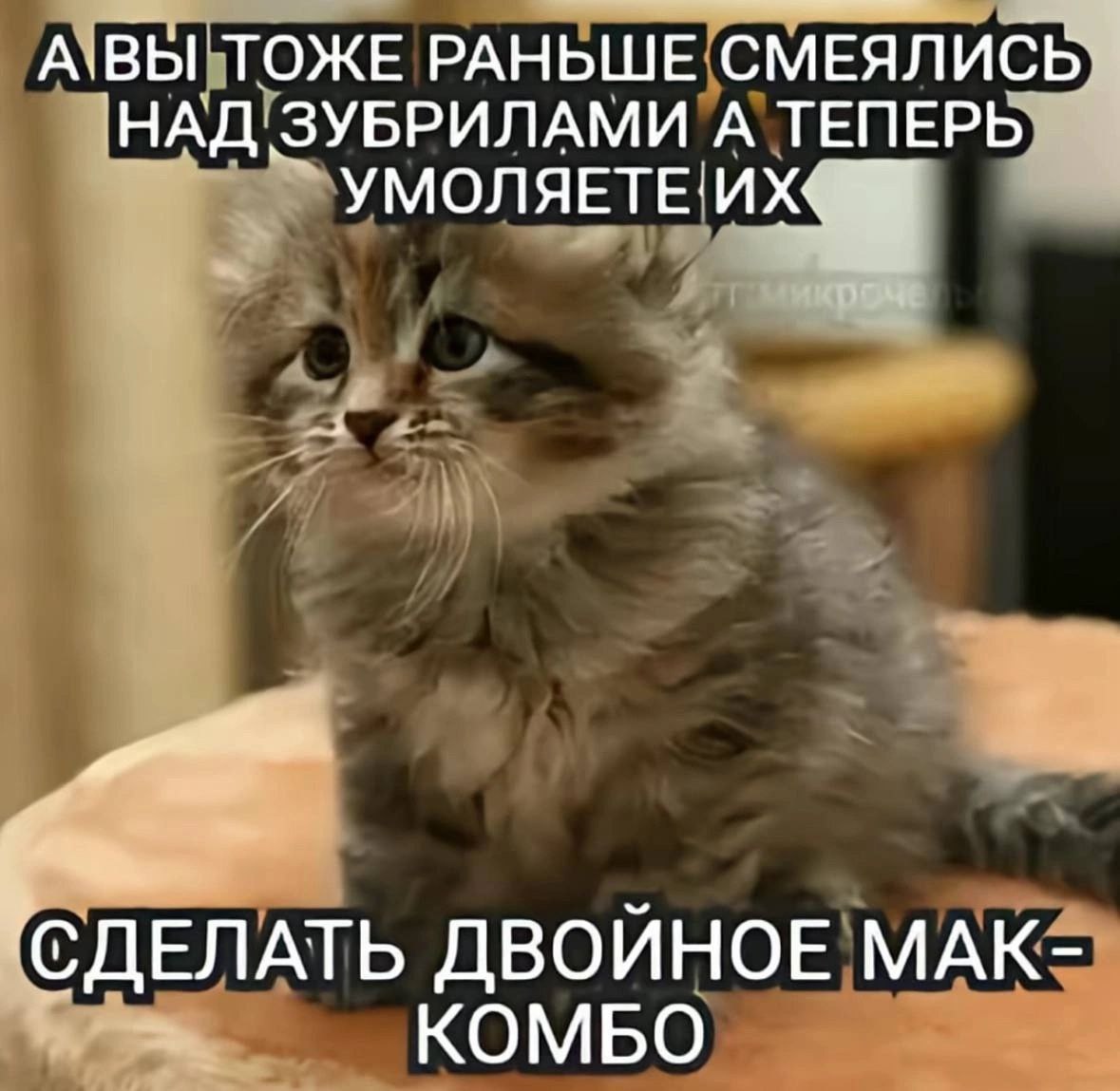 А вы тоже раньше смеялись над зубрилами Котенок с надписью: "А вы тоже раньше смеялись над зубрилами, а теперь умоляете их сделать двойное мак-комбо"