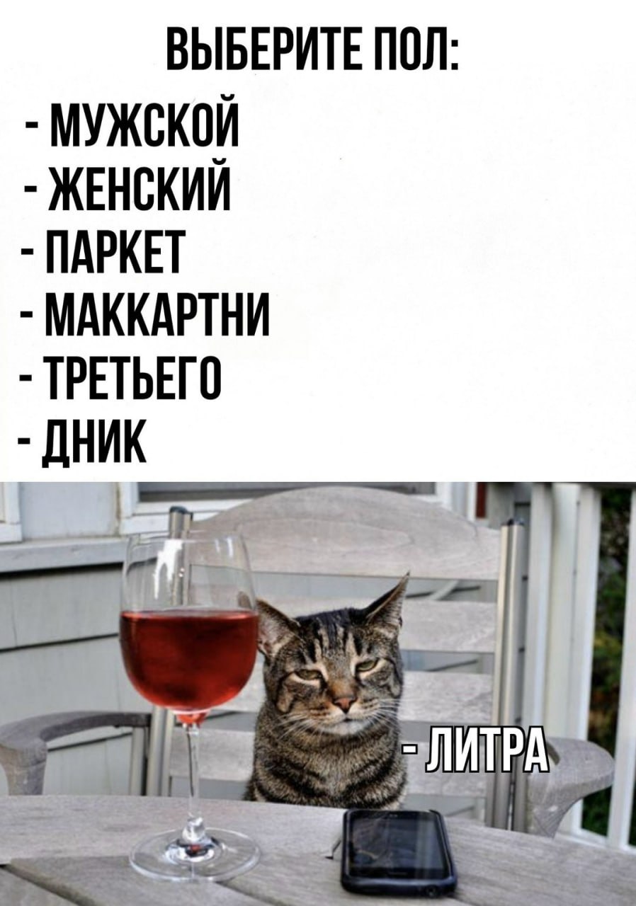 Выберите пол: литра Мем с котом, который хочет литр вина, пародирующий выбор пола в анкетах