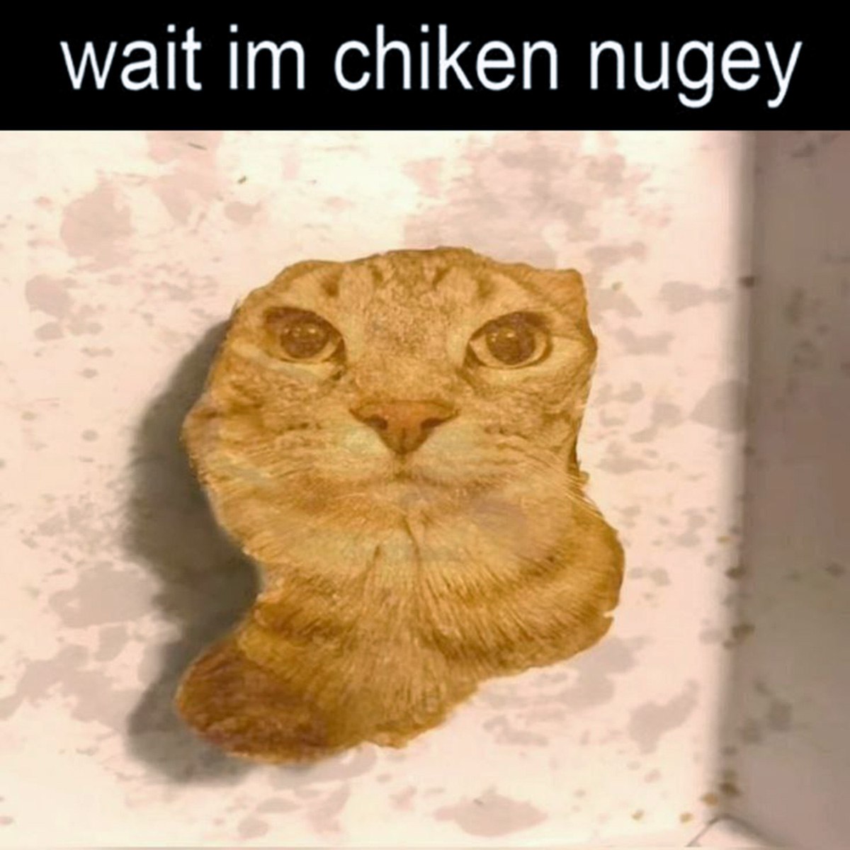 Wait im chiken nugey cat Куриный наггетс, похожий на голову кота с текстом «wait im chiken nugey»
