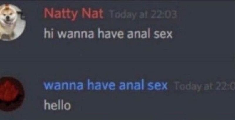 Wanna have anal sex hello Переписка в Дискорде, где пользователь с аватаром собаки пишет «Привет, хочешь анальный секс», а другой пользователь с аватаром огня копирует его сообщение, но затем пишет «привет».