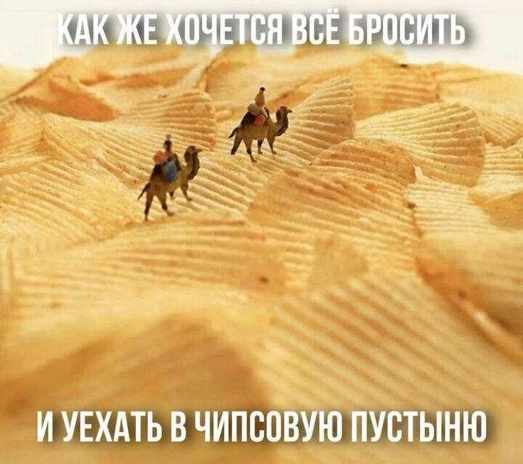Как же хочется всё бросить и уехать в чипсовую пустыню Мем про желание бросить всё и уехать в чипсовую пустыню с миниатюрными путниками на верблюдах.
