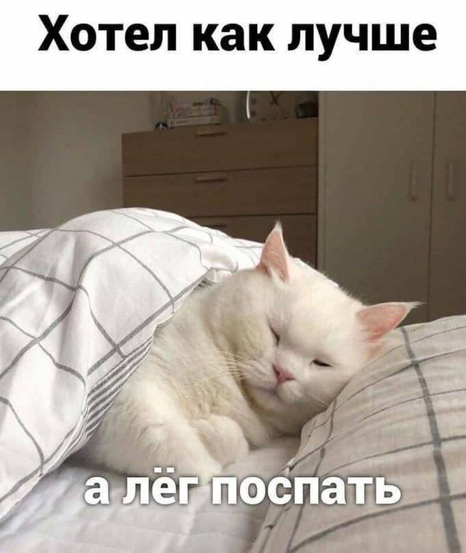 Хотел как лучше, а лёг поспать Мем с белым котом, спящим под одеялом, и надписью "Хотел как лучше, а лёг поспать"