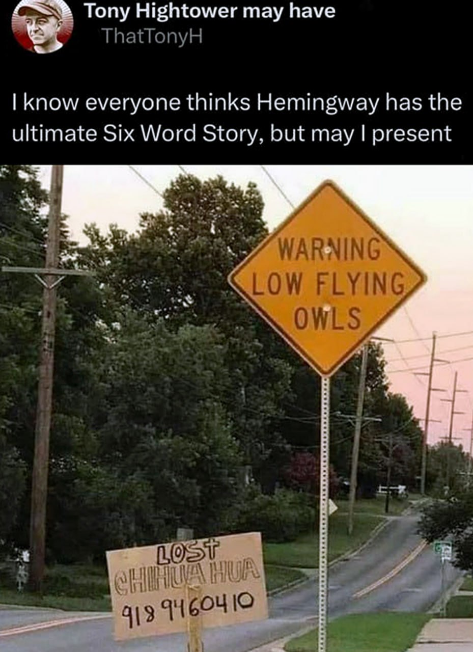 Warning low flying owls, lost chihuahua Дорожный знак с надписью «Осторожно, низколетящие совы» и объявление о пропавшей чихуахуа