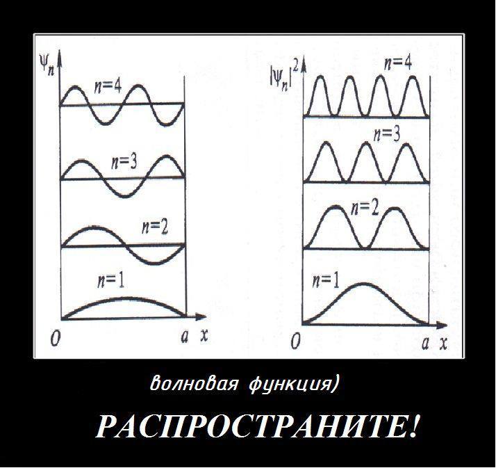 Волновая функция Распространите Волновая функция и ее квадрат, призыв распространить мем