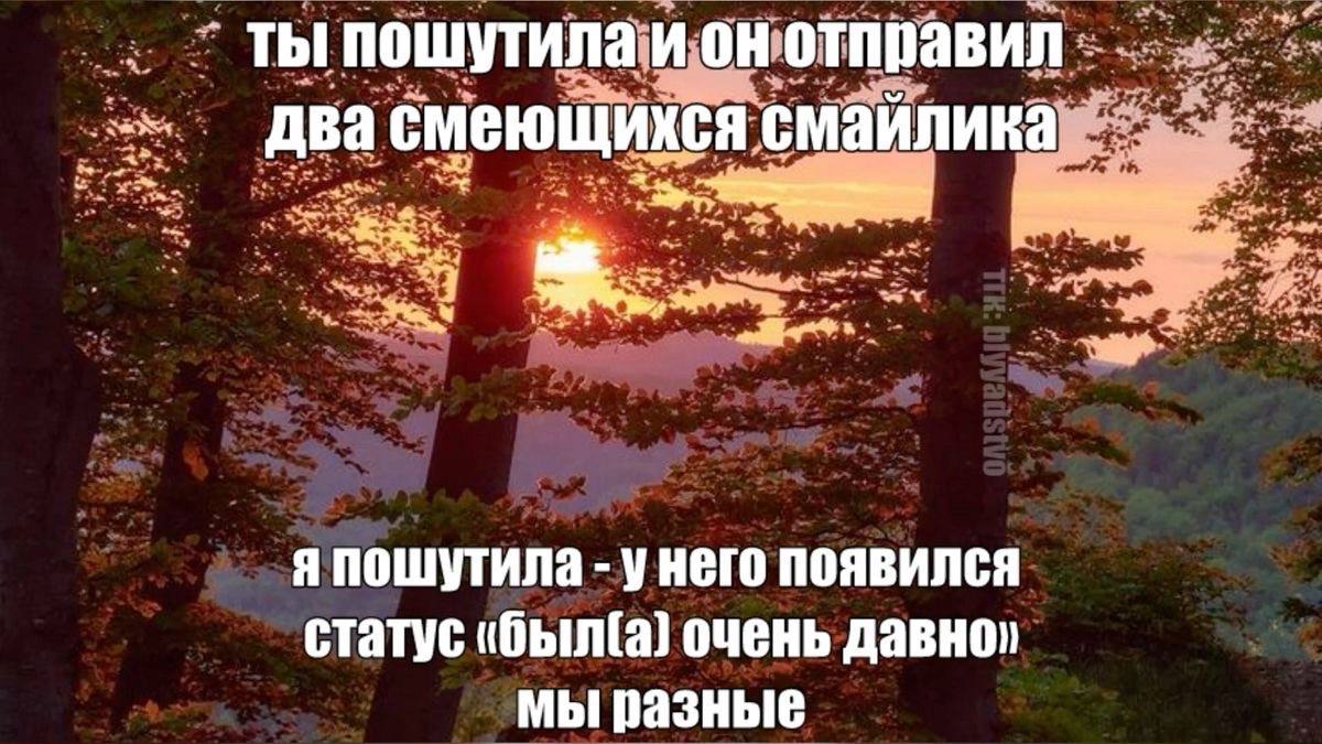 Мы разные, ты пошутила и он отправил два смеющихся смайлика Надпись на фоне заката в лесу: «Ты пошутила и он отправил два смеющихся смайлика. Я пошутила - у него появился статус «был(а) очень давно». Мы разные»