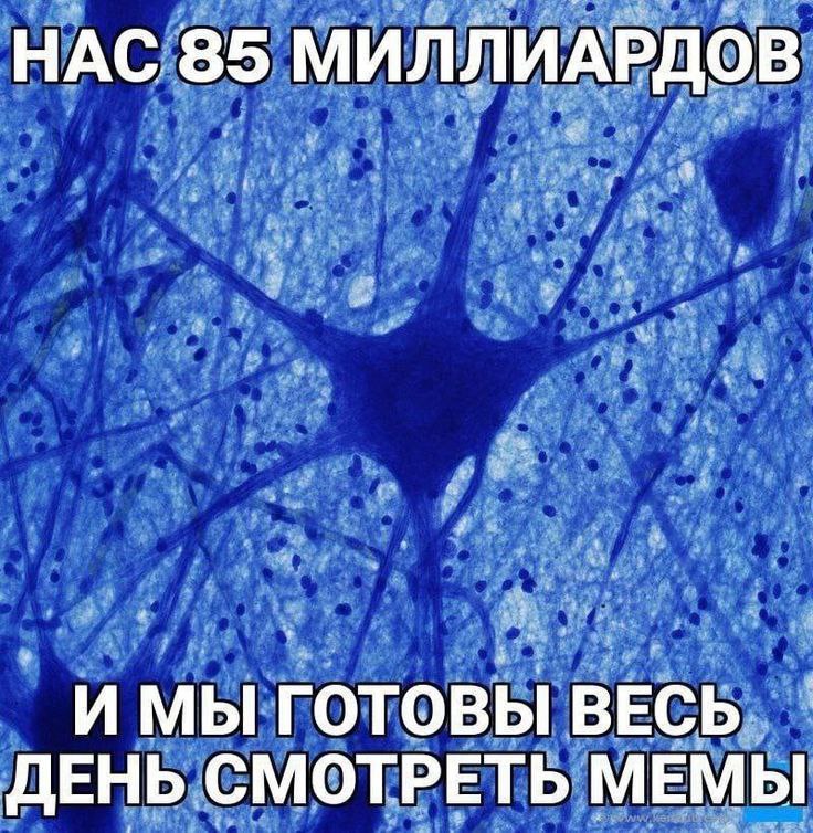 Мы готовы весь день смотреть мемы Нас 85 миллиардов и мы готовы весь день смотреть мемы