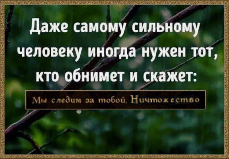 Мы следим за тобой, ничтожество Мем с надписью "Мы следим за тобой, ничтожество" на фоне веток и листьев.