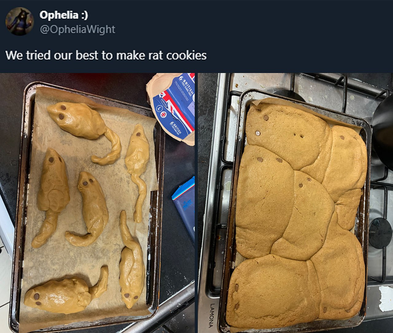 We tried our best to make rat cookies Печенье в форме мышей до и после выпекания, превратившееся в сплошную массу.