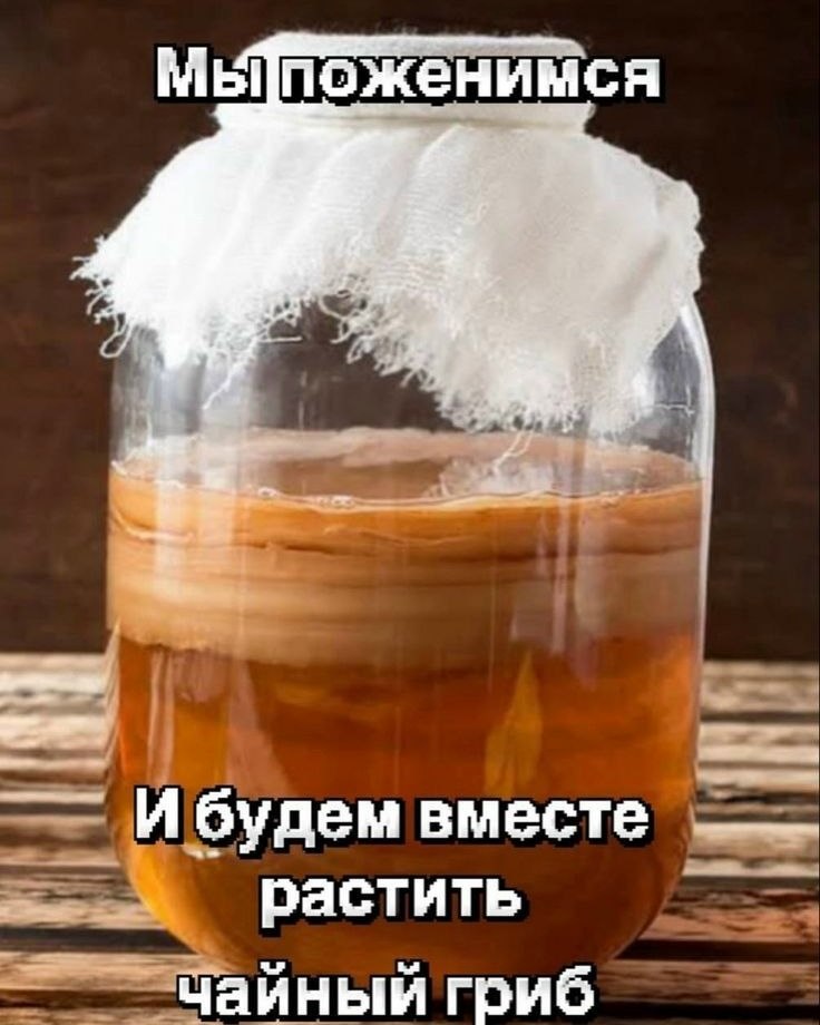 Стеклянная банка с чайным грибом и подписью «Мы поженимся и будем вместе растить чайный гриб»