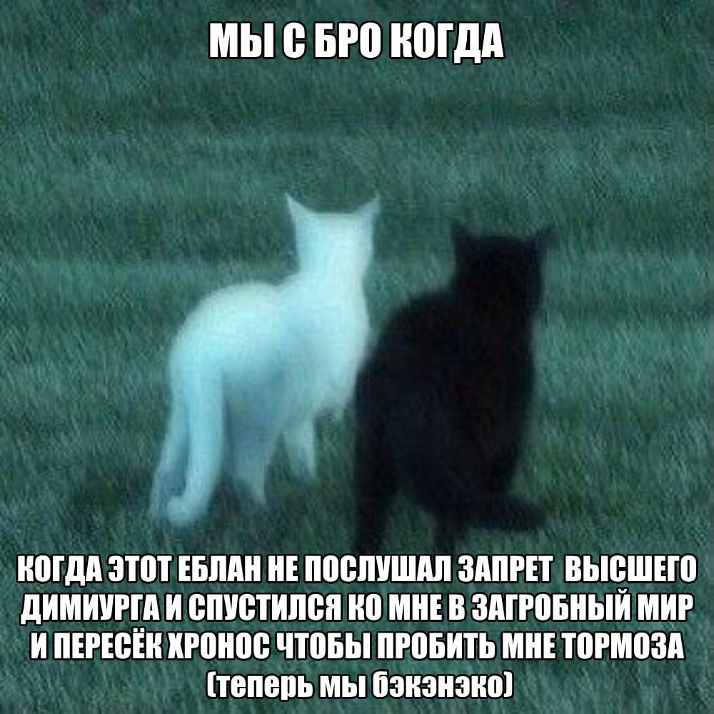 Мы с бро когда Мы с бро когда этот еблан не послушал запрет высшего демиурга и спустился ко мне в загробный мир и пересёк хронос чтобы пробить мне тормоза