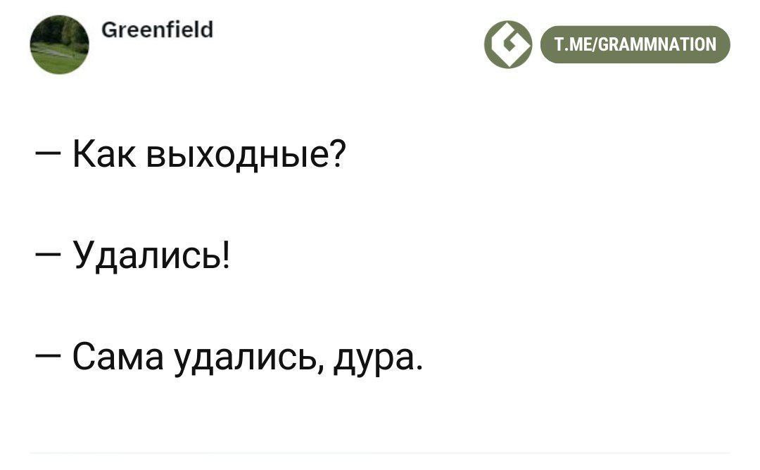 Выходные удалились Мем с текстом "Как выходные? - Удалились! - Сама удалилась, дура."