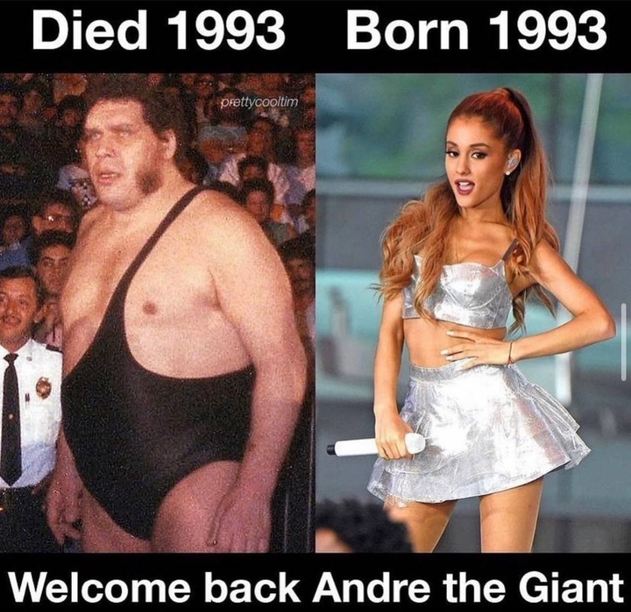 Welcome back Andre the Giant Мем с Андре Гигантом и Арианой Гранде, намекающий на их возможное «перерождение»