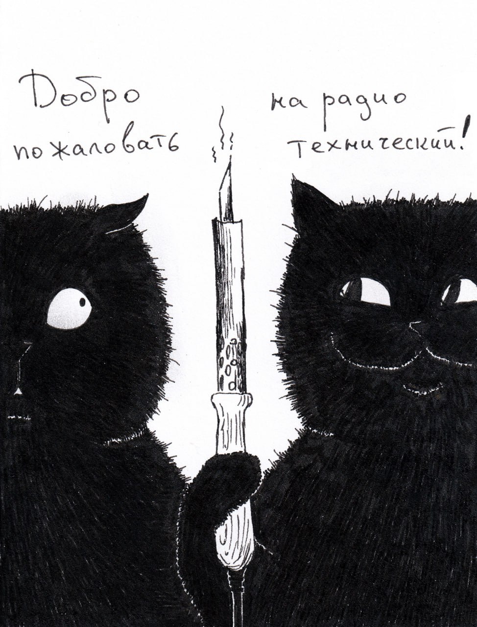 Добро пожаловать на радиотехнический Мем с черными котами и паяльником, надпись "Добро пожаловать на радиотехнический"