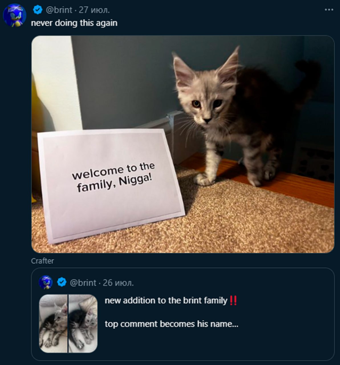 Welcome to the family, Nigga Котёнок по имени Nigga и надпись «welcome to the family, Nigga!»