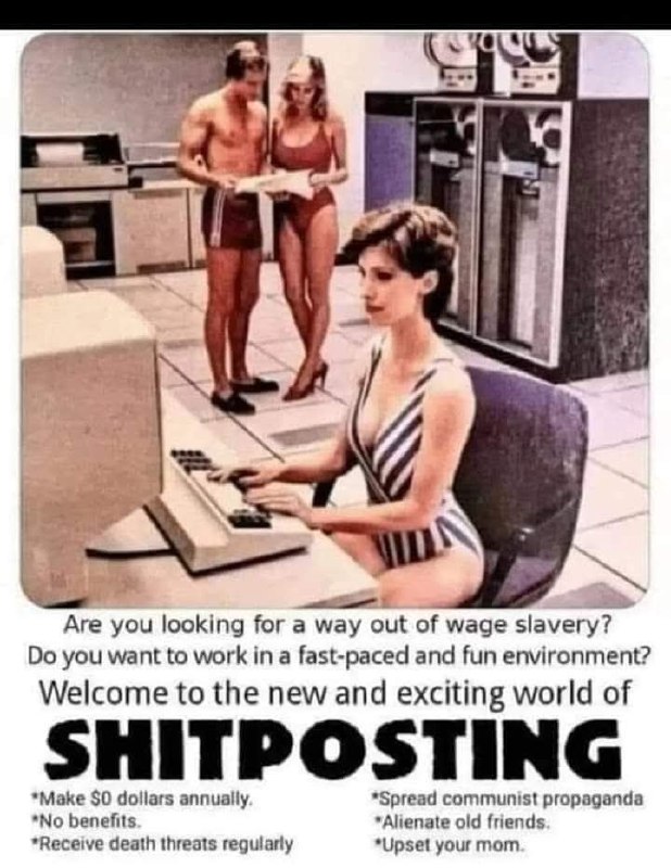 Пародийная реклама карьеры в shitposting с обещаниями получать угрозы, расстраивать маму и зарабатывать 50 долларов в год.