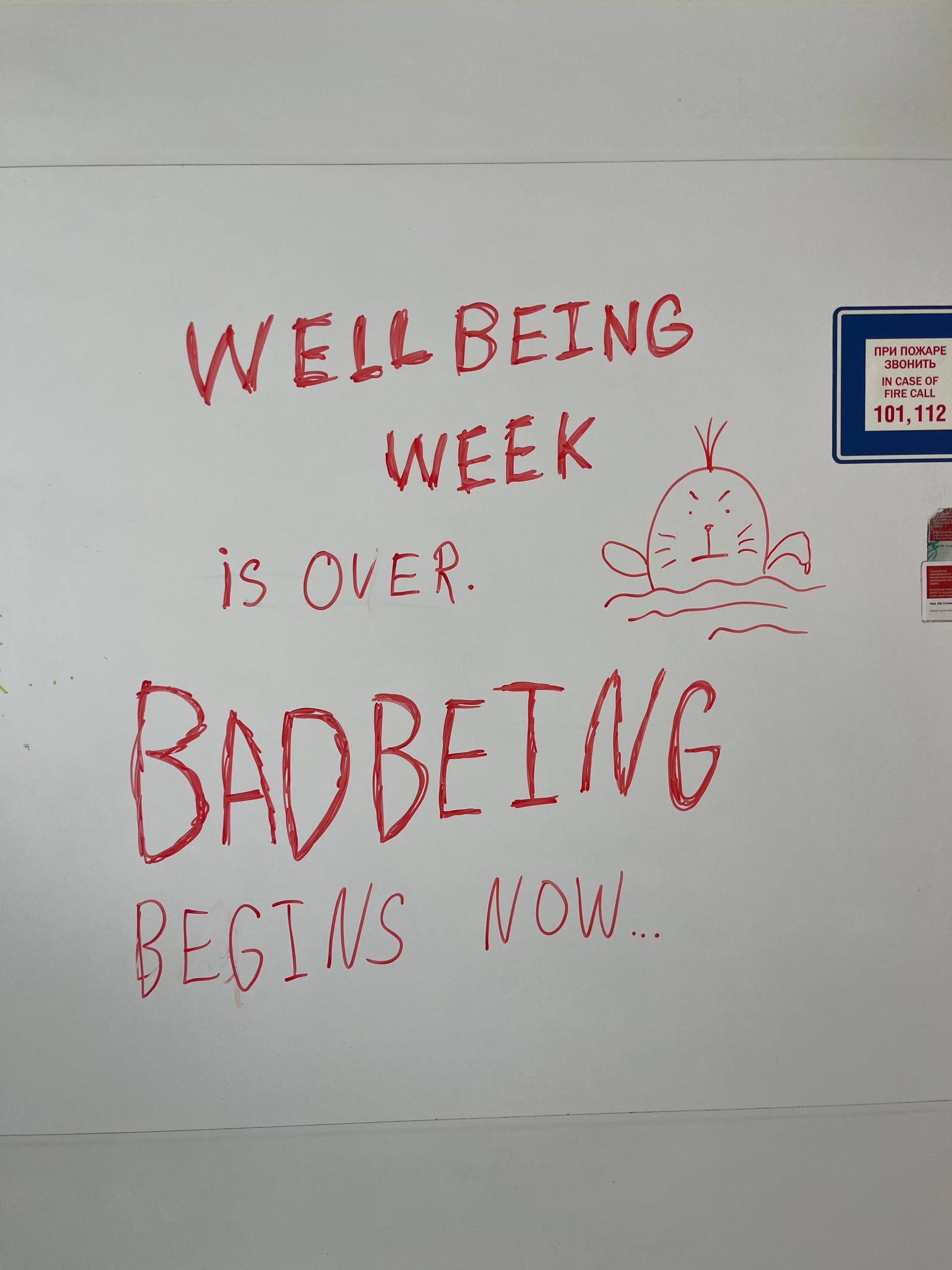 Wellbeing week is over. Badbeing begins now Надпись на белой доске "Неделя благополучия закончилась. Теперь начинается неблагополучие..." и злой тюлень