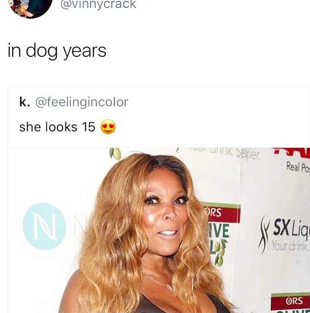 In dog years she looks 15 Венди Уильямс выглядит на 15 лет по собачьим годам