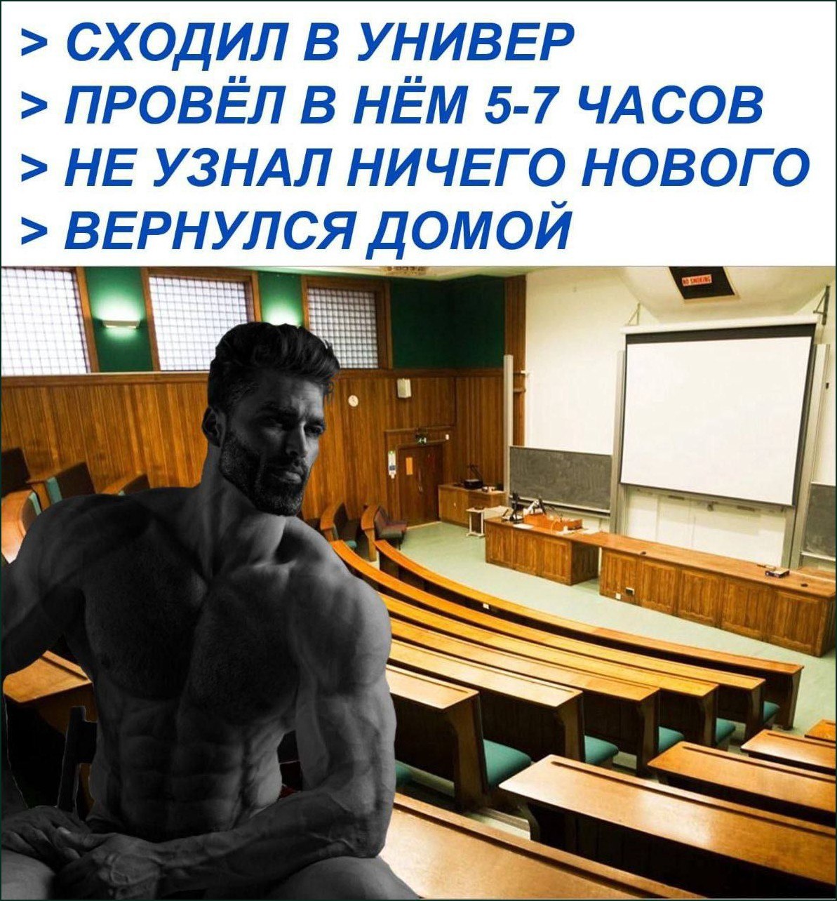 Гигачад после 5–7 часов в университете, где он не узнал ничего нового и просто вернулся домой