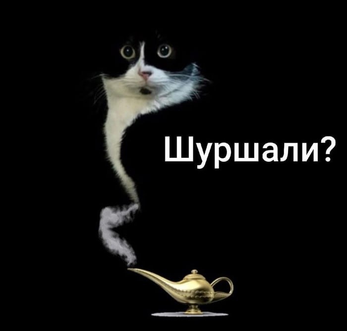 Кот "Шуршали?" Кот-джин, вылезающий из лампы, с вопросом "Шуршали?"