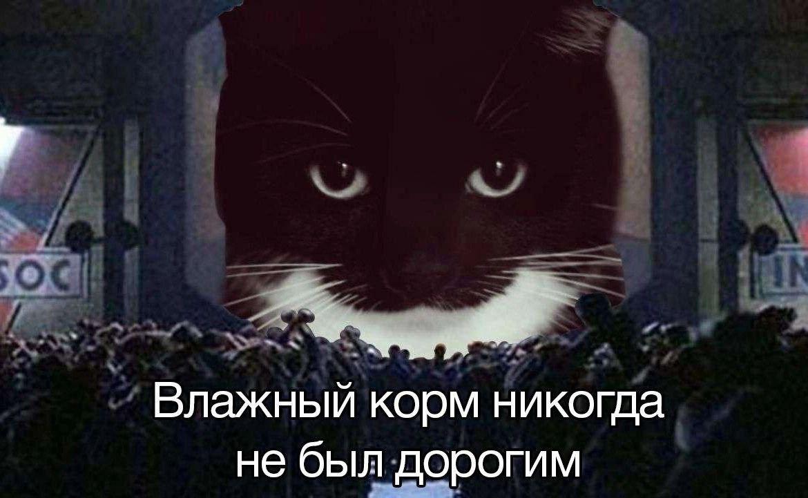 Влажный корм никогда не был дорогим Кот-диктатор, возвышающийся над толпой, с текстом "Влажный корм никогда не был дорогим"