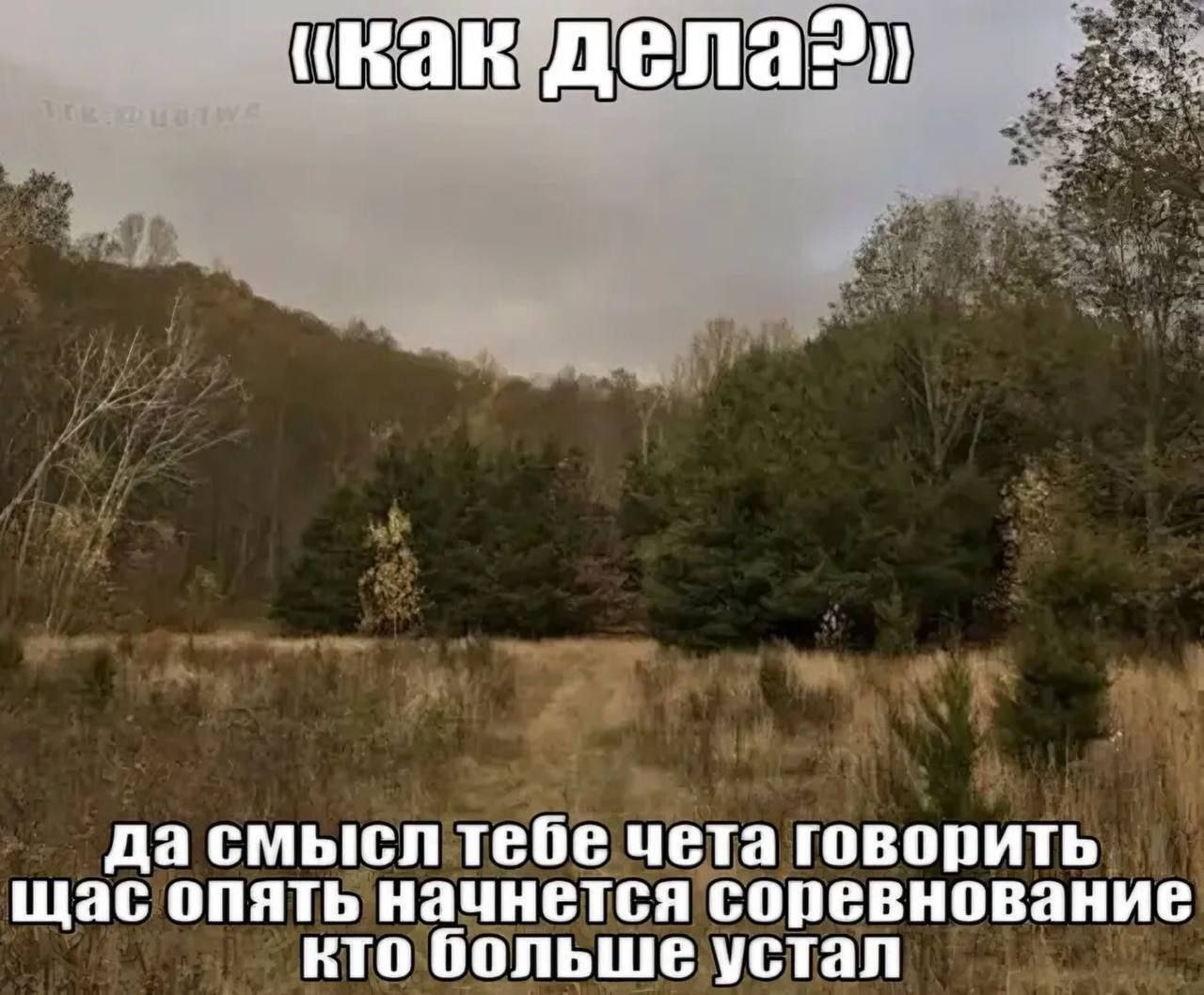 Как дела? Кто больше устал Усталый лес, который не хочет соревноваться, кто больше устал. Кадр сделан в пасмурную погоду.