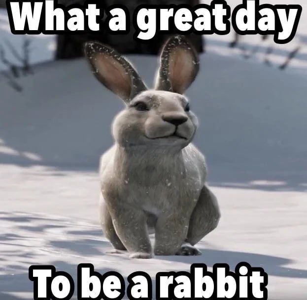 What a great day to be a rabbit Мем с кроликом на снегу «Какой прекрасный день, чтобы быть кроликом»