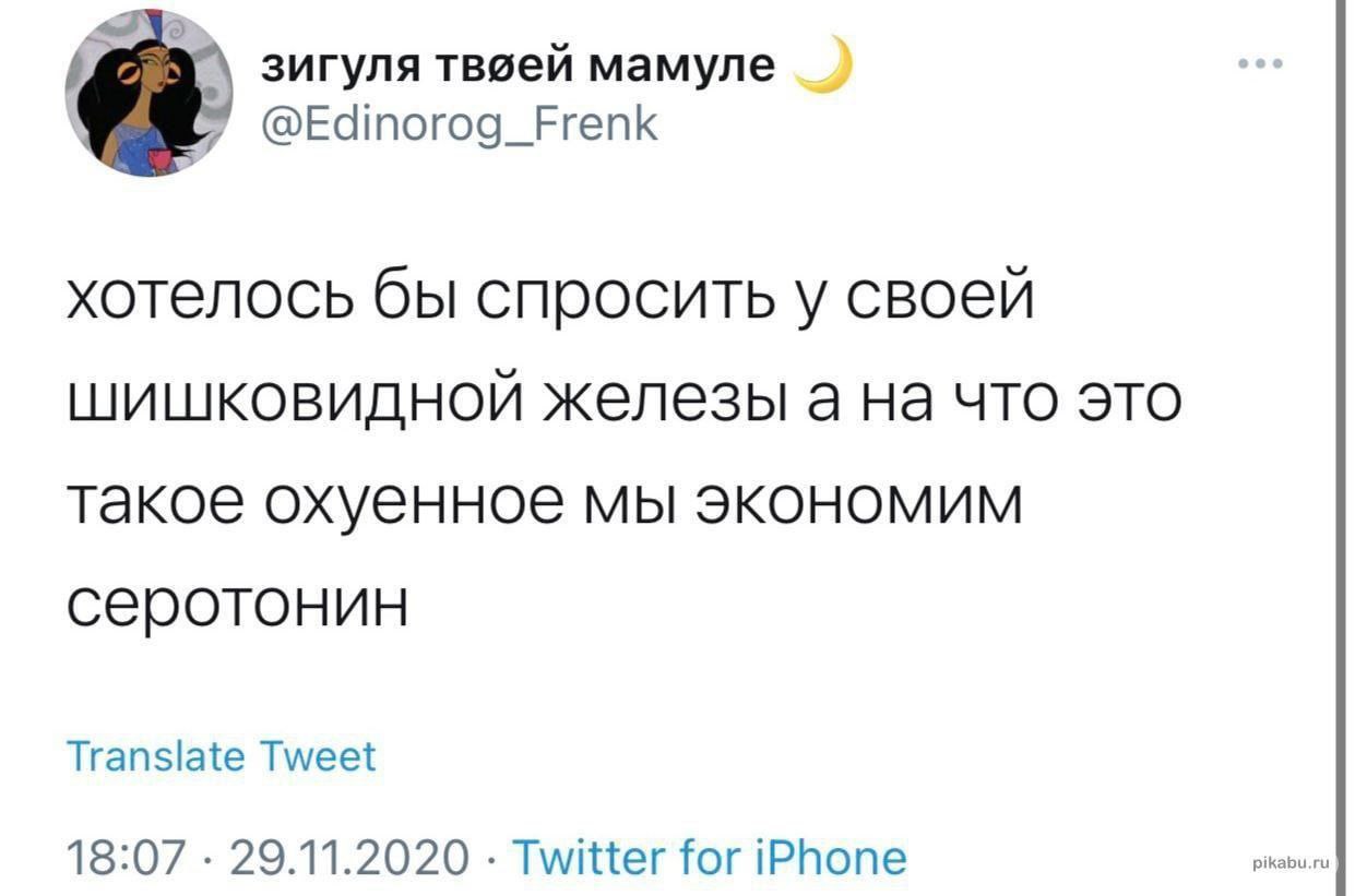 На что мы экономим серотонин Мем, где пользователь задает вопрос своей шишковидной железе о том, на что она экономит серотонин, намекая на отсутствие радости.