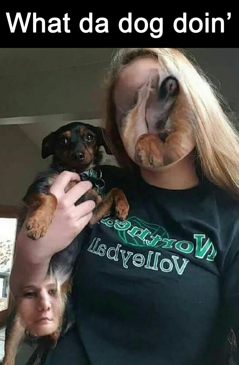 What da dog doin' Фотография, на которой из-за оптической иллюзии собака выглядит так, будто просунула голову сквозь лицо девушки, а лицо девушки — сквозь туловище собаки.