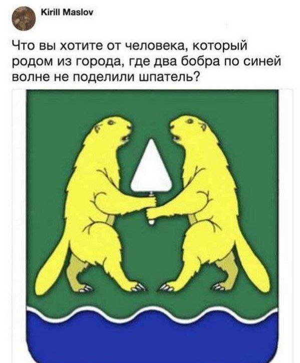 Что вы хотите от человека, который родом из города, где два бобра по синей волне не поделили шпатель Мем про двух бобров, не поделивших шпатель, и герб Бобруйска