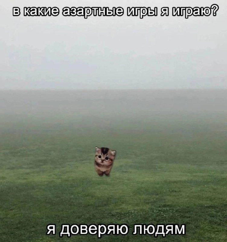 В какие азартные игры я играю? Я доверяю людям Кот в тумане отвечает на вопрос про азартные игры, заявляя, что доверяет людям.